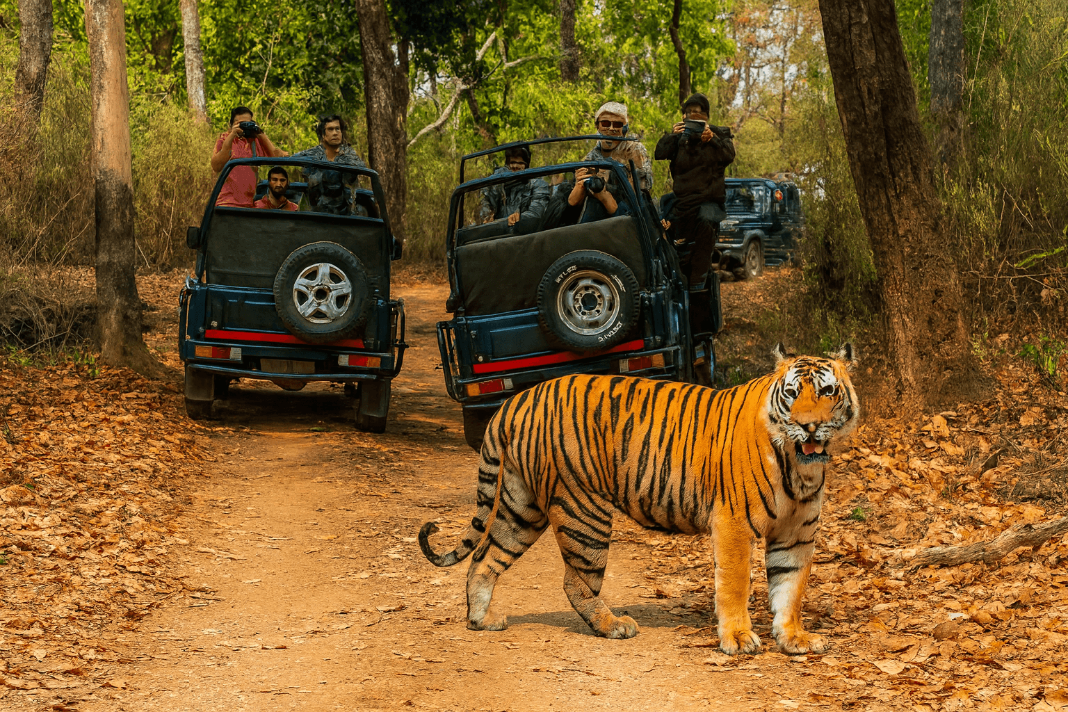 Dooars Wildlife Safari